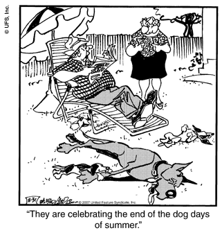marmaduke